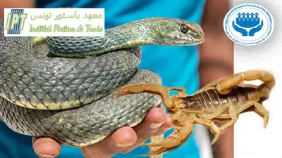 هكذا يعمل معهد باستور بتونس عند اقتنائه العقارب والثعابين