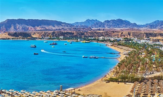 السعودية تغازل مصر لشراء رأس جميلة