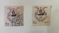 واقعة تزوير تهز المحاماة في مصر