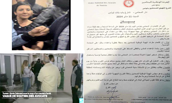 سنية الدهماني رهن الإيقاف بعدما تحصنت في دار المحامي