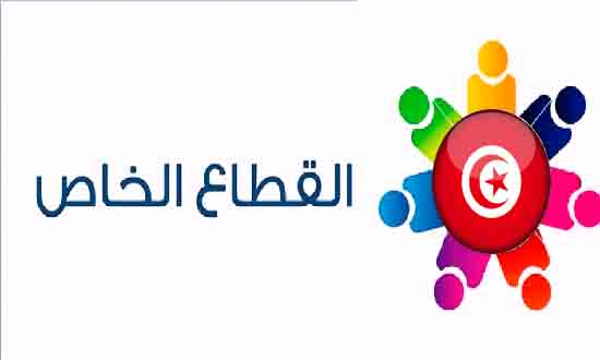 عرض توصيات القطاع الخاص موجهة للحكومة