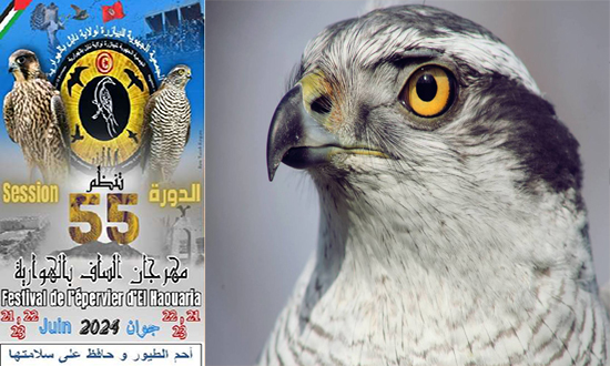 برنامج الدورة 55 لمهرجان الساف بالهوارية