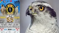 برنامج الدورة 55 لمهرجان الساف بالهوارية