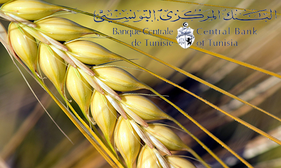 البنك المركزي التونسي يراجع معايير تمويل قطاع الحبوب والأعلاف