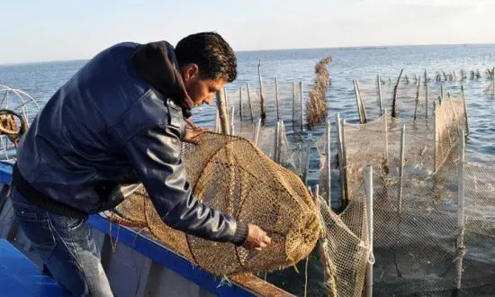 قرقنة: دعوة للصحفيين للمشاركة في ورشة حول الصيد المستدام