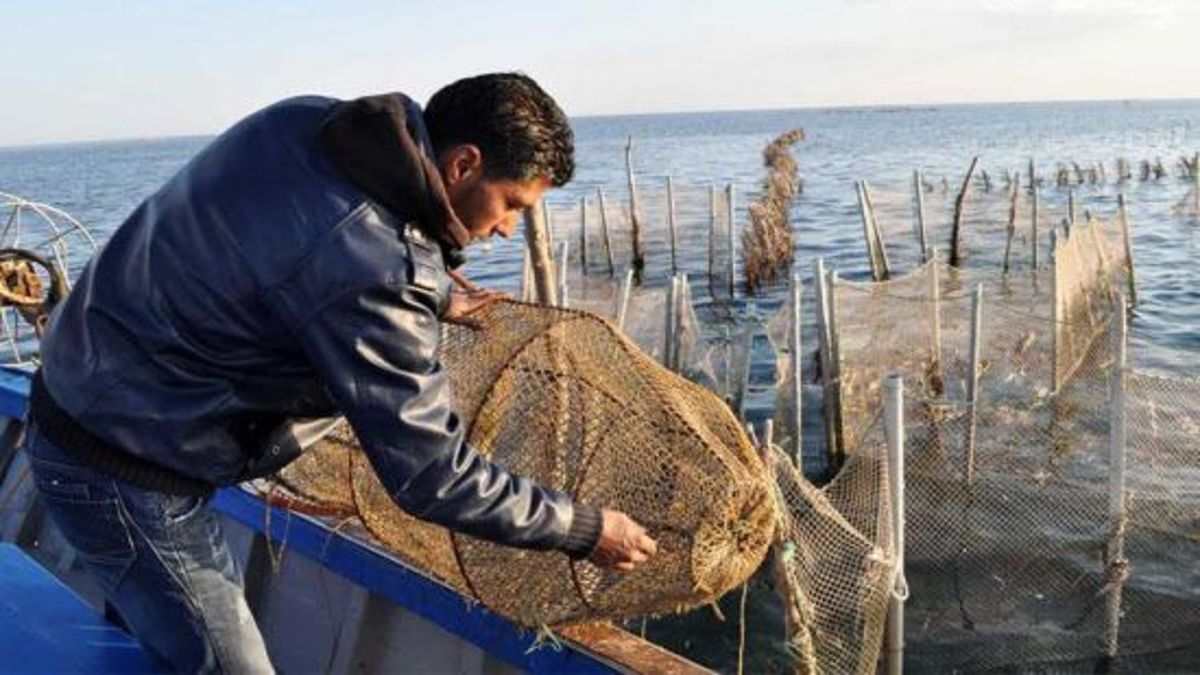 قرقنة: دعوة للصحفيين للمشاركة في ورشة حول الصيد المستدام