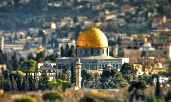 سبيلكم إلى تحرير غزة