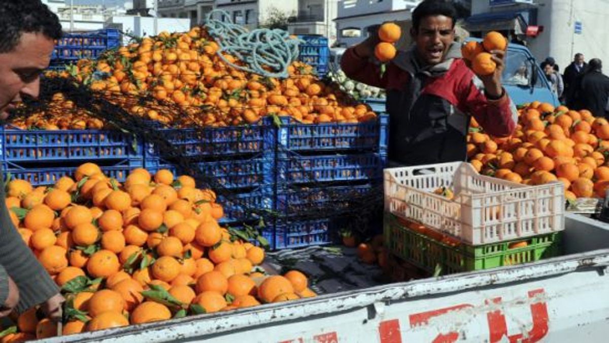 أين الرقابة في فوضى أسعار الخضر والغلال ؟