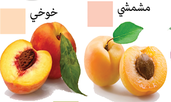 خوخ أو مشمش، تعرف على محتواهما الغذائي