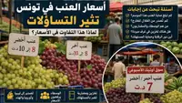 لماذا يختلف سعر العنب من مكان لآخر في تونس؟